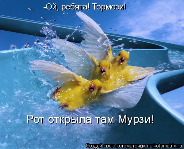 -Ой, ребята! Тормози! Рот открыла там Мурзи!... Котоматрица: -Ой, ребята! Тормози! Рот открыла там Мурзи!
