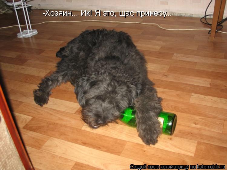 -Хозяин... Ик! Я это, щас принесу...... Котоматрица: -Хозяин... Ик! Я это, щас принесу...