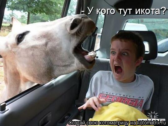 - У кого тут икота?... Котоматрица: - У кого тут икота?