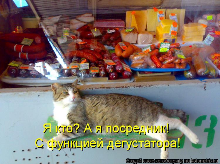 Котоматрица: Я кто? А я посредник!  С функцией дегустатора!