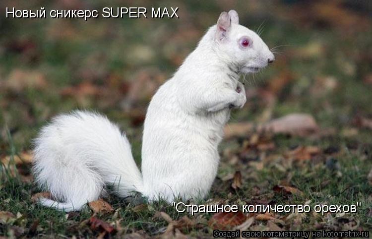 Новый сникерс SUPER MAX "Страшное количество орехов"... Котоматрица: Новый сникерс SUPER MAX "Страшное количество орехов"