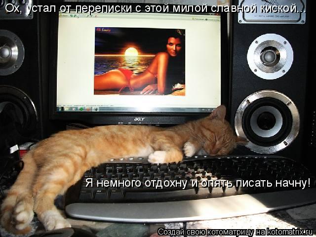 Ох, устал от переписки с этой милой славной киской... Я немного отдохну и опять писать начну!... Котоматрица: Ох, устал от переписки с этой милой славной киской... Я немного отдохну и опять писать начну!