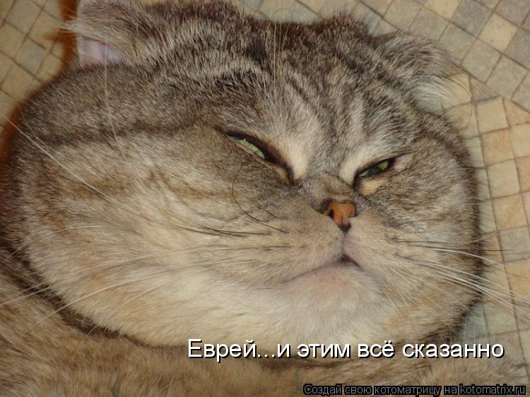 Еврей...и этим всё сказанно... Котоматрица: Еврей...и этим всё сказанно