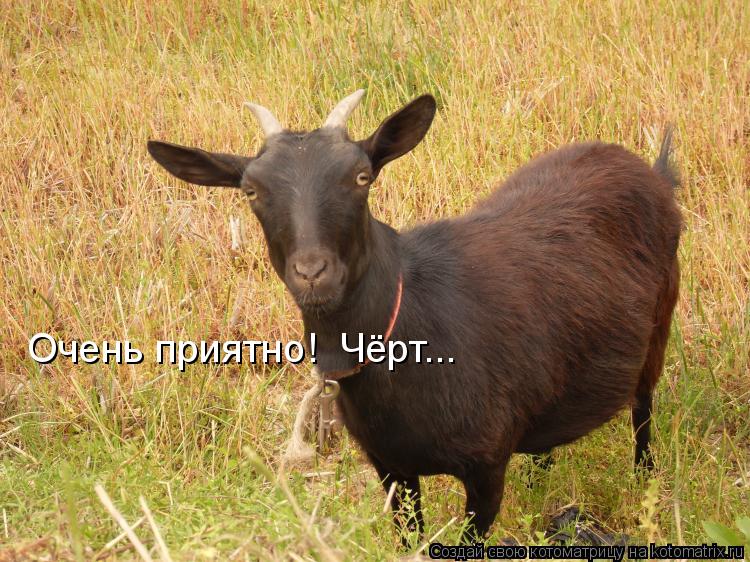 Очень приятно! Чёрт...... Котоматрица: Очень приятно! Чёрт...