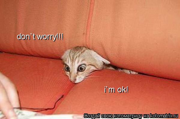 i`m ok! don`t worry!!!... Котоматрица: i`m ok! don`t worry!!!
