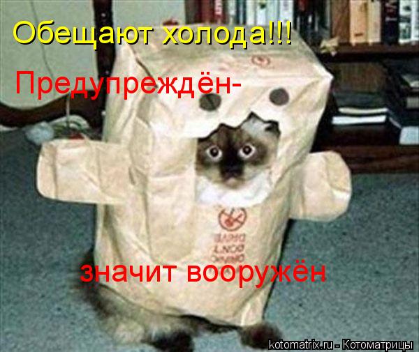Обещают холода!!! Предупреждён- значит вооружён... Котоматрица: Обещают холода!!! Предупреждён- значит вооружён