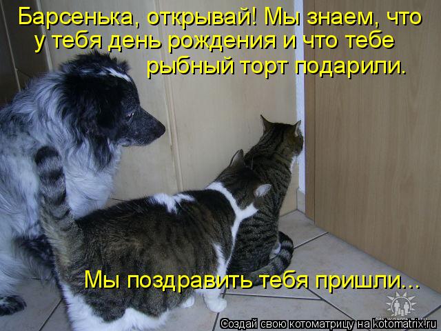 Котоматрица: Барсенька, открывай! Мы знаем, что  у тебя день рождения и что тебе  рыбный торт подарили.  Мы поздравить тебя пришли...