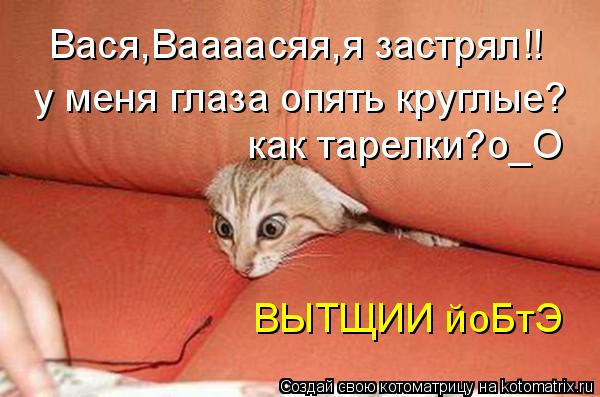 Вася,Ваааасяя,я застрял!! у меня глаза опять круглые? как тарелки?о_О ВЫТЩИИ йоБтЭ... Котоматрица: Вася,Ваааасяя,я застрял!! у меня глаза опять круглые? как тарелки?о_О ВЫТЩИИ йоБтЭ