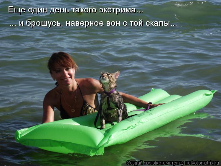 Еще один день такого экстрима... ... и брошусь, наверное вон с той скалы...... Котоматрица: Еще один день такого экстрима... ... и брошусь, наверное вон с той скалы...
