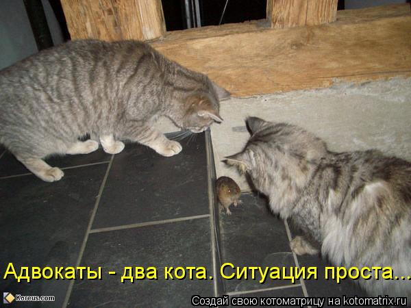 Адвокаты - два кота. Ситуация проста...... Котоматрица: Адвокаты - два кота. Ситуация проста...