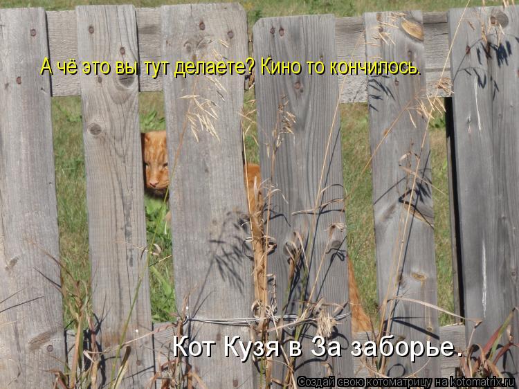 Кот Кузя в За заборье. А чё это вы тут делаете? Кино то кончилось.... Котоматрица: Кот Кузя в За заборье. А чё это вы тут делаете? Кино то кончилось.