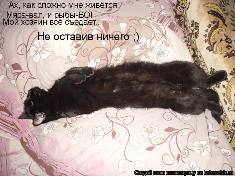 Ах, как сложно мне живётся: Мяса-вал, и рыбы-ВО! Мой хозяин всё съедает... Не оставив ничего ;)... Котоматрица: Ах, как сложно мне живётся: Мяса-вал, и рыбы-ВО! Мой хозяин всё съедает... Не оставив ничего ;)