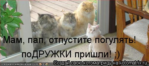 Мам, пап, отпустите погулять! поДРУЖКИ пришли! ;)... Котоматрица: Мам, пап, отпустите погулять! поДРУЖКИ пришли! ;)