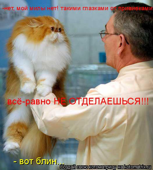 -нет, мой милы нет! такими глазками от прививками всё-равно НЕ ОТДЕЛАЕШЬСЯ!!! - вот блин...... Котоматрица: -нет, мой милы нет! такими глазками от прививками всё-равно НЕ ОТДЕЛАЕШЬСЯ!!! - вот блин...