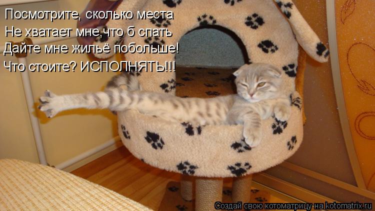 Посмотрите, сколько места Не хватает мне,что б спать Дайте мне жильё побольше! Что стоите? ИСПОЛНЯТЬ... Котоматрица: Посмотрите, сколько места Не хватает мне,что б спать Дайте мне жильё побольше! Что стоите? ИСПОЛНЯТЬ!!!