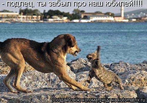 - подлец, ты забыл про наш юбилей!!!!... Котоматрица: - подлец, ты забыл про наш юбилей!!!!