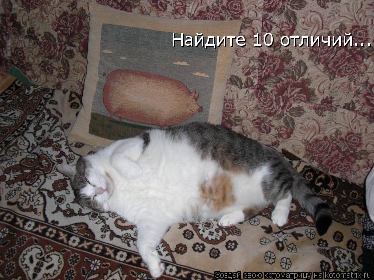 Найдите 10 отличий...... Котоматрица: Найдите 10 отличий...