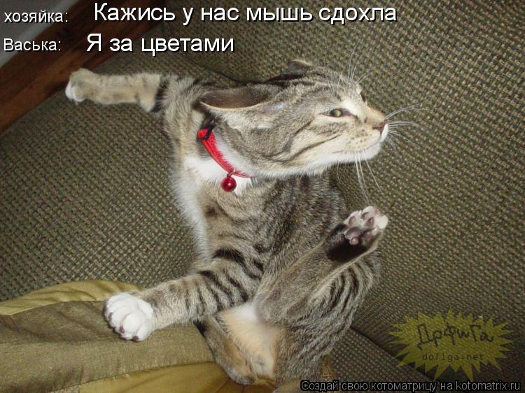 Котоматрица: хозяйка:  Кажись у нас мышь сдохла Васька: Я за цветами