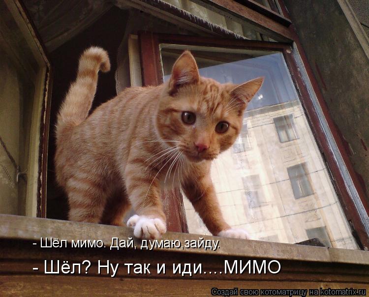 - Шёл мимо. Дай, думаю,зайду. - Шёл? Ну так и иди....МИМО... Котоматрица: - Шёл мимо. Дай, думаю,зайду. - Шёл? Ну так и иди....МИМО