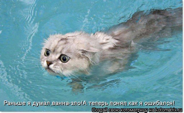 Раньше я думал,ванна-зло!А теперь понял как я ошибался!... Котоматрица: Раньше я думал,ванна-зло!А теперь понял как я ошибался!