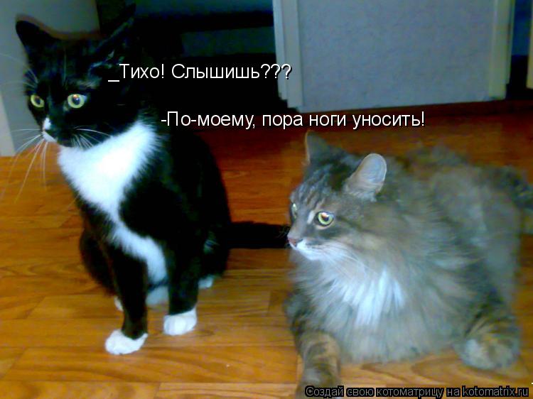 _Тихо! Слышишь??? _Тихо! Слышишь??? -По-моему, пора ноги уносить! -По-моему, пора ноги уносить!... Котоматрица: _Тихо! Слышишь??? _Тихо! Слышишь??? -По-моему, пора ноги уносить! -По-моему, пора ноги уносить!