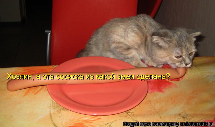 Хозяин, а эта сосиска из какой змеи сделана?... Котоматрица: Хозяин, а эта сосиска из какой змеи сделана?