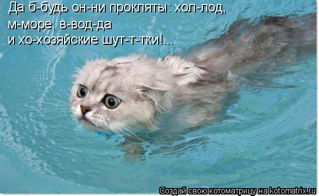 Да б-будь он-ни прокляты: хол-лод, м-море, в-вод-да и хо-хозяйские шут-т-тки!...... Котоматрица: Да б-будь он-ни прокляты: хол-лод, м-море, в-вод-да и хо-хозяйские шут-т-тки!...