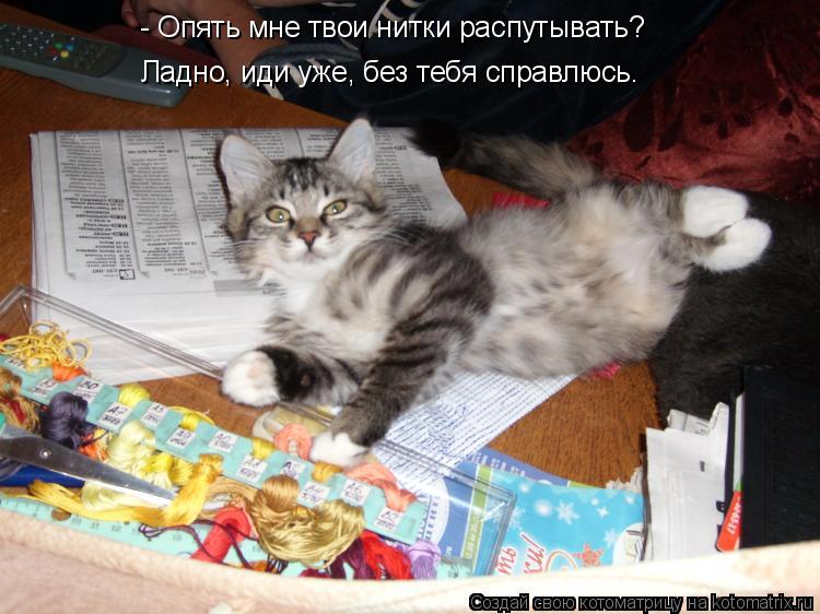 - Опять мне твои нитки распутывать? Ладно, иди уже, без тебя справлюсь.... Котоматрица: - Опять мне твои нитки распутывать? Ладно, иди уже, без тебя справлюсь.