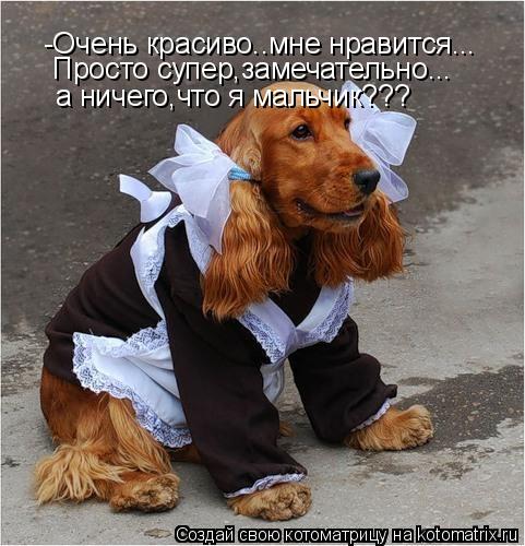 -Очень красиво..мне нравится... Просто супер,замечательно... а ничего,что я мальчик???... Котоматрица: -Очень красиво..мне нравится... Просто супер,замечательно... а ничего,что я мальчик???