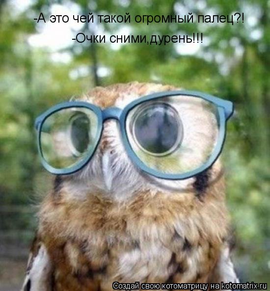 -А это чей такой огромный палец?! -Очки сними,дурень!!!... Котоматрица: -А это чей такой огромный палец?! -Очки сними,дурень!!!