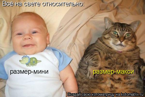 Всё на свете относительно: размер-мини размер-макси... Котоматрица: Всё на свете относительно: размер-мини размер-макси