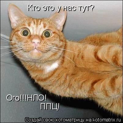 Кто это у нас тут? Ого!!!НЛО! ППЦ!... Котоматрица: Кто это у нас тут? Ого!!!НЛО! ППЦ!