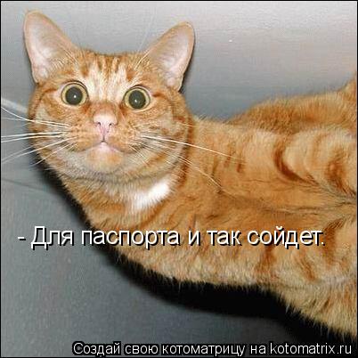 - Для паспорта и так сойдет.... Котоматрица: - Для паспорта и так сойдет.