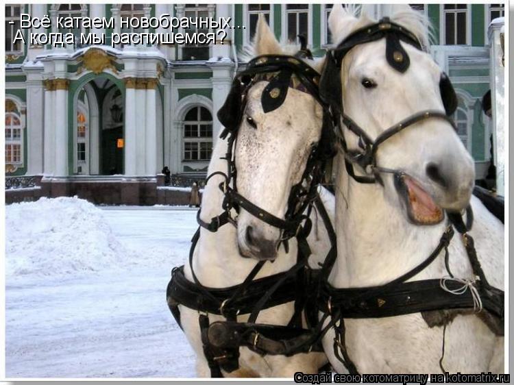 - Всё катаем новобрачных... А когда мы распишемся?... Котоматрица: - Всё катаем новобрачных... А когда мы распишемся?