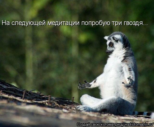 На следующей медитации попробую три гвоздя...... Котоматрица: На следующей медитации попробую три гвоздя...