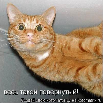 весь такой повёрнутый!... Котоматрица: весь такой повёрнутый!