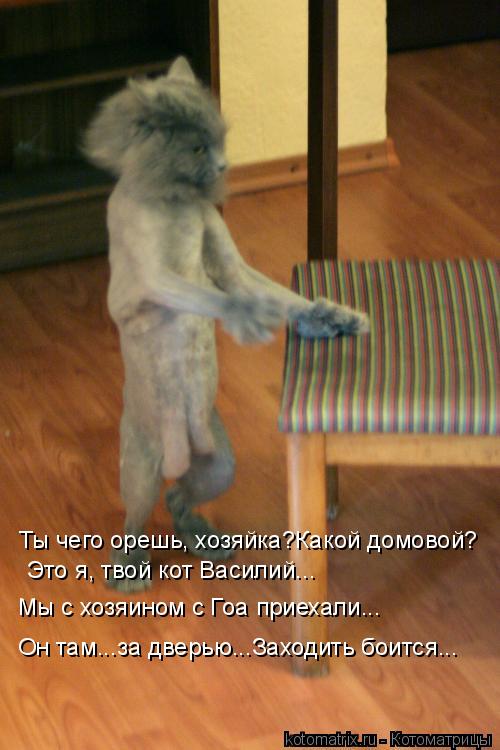Котоматрица: Ты чего орешь, хозяйка?Какой домовой? Это я, твой кот Василий... Мы с хозяином с Гоа приехали... Он там...за дверью...Заходить боится...