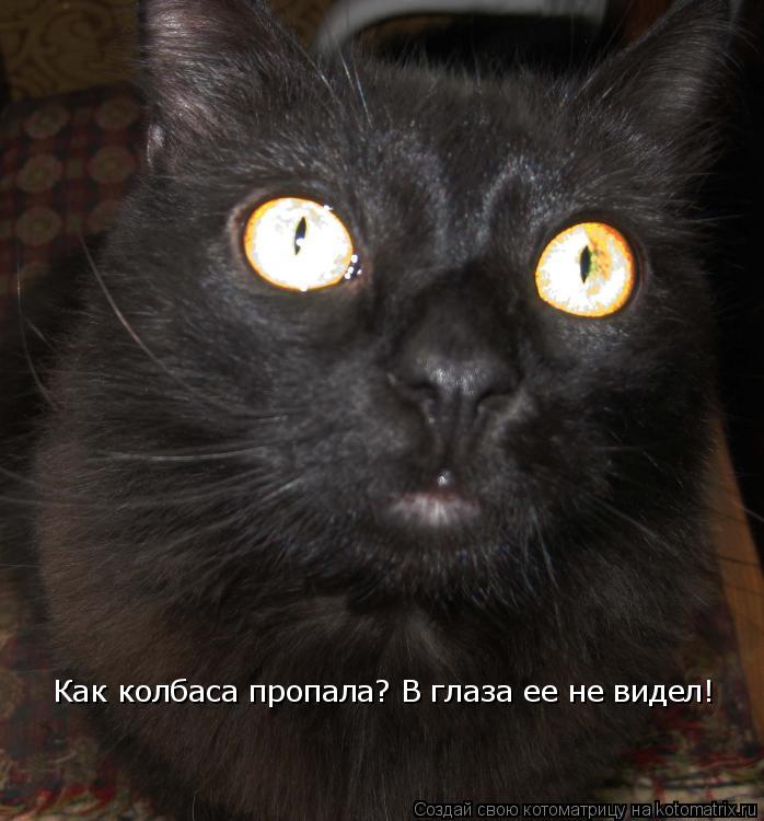 Как колбаса пропала? В глаза ее не видел!... Котоматрица: Как колбаса пропала? В глаза ее не видел!