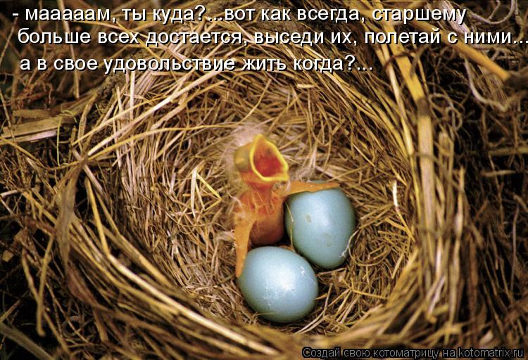 - мааааам, ты куда?...вот как всегда, старшему больше всех достается, выседи их, полетай с ними... а... Котоматрица: - мааааам, ты куда?...вот как всегда, старшему больше всех достается, выседи их, полетай с ними... а в свое удовольствие жить когда?...