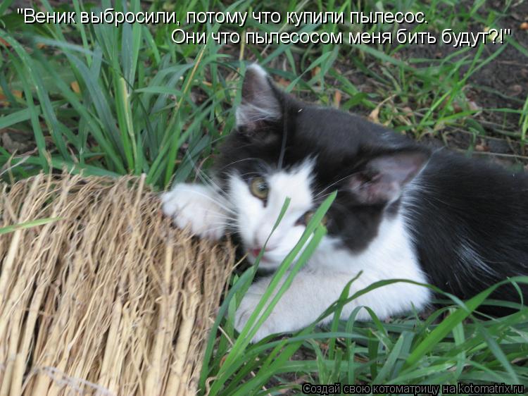 Котоматрица: "Веник выбросили, потому что купили пылесос. Они что пылесосом меня бить будут?!"