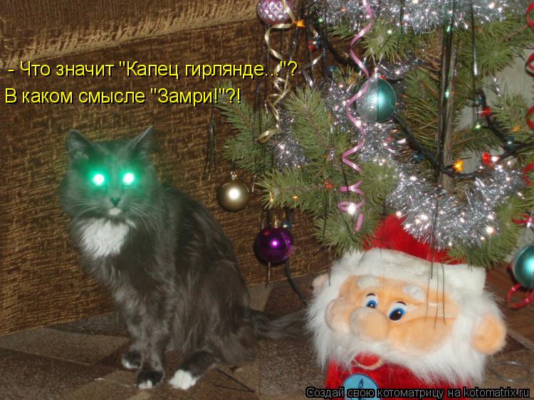 - Что значит "Капец гирлянде..."? В каком смысле "Замри!"?!... Котоматрица: - Что значит "Капец гирлянде..."? В каком смысле "Замри!"?!