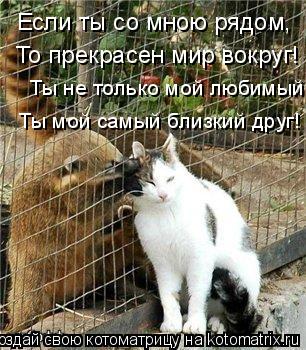 Если ты со мною рядом, То прекрасен мир вокруг! Ты не только мой любимый, Ты мой самый близкий ... Котоматрица: Если ты со мною рядом, То прекрасен мир вокруг! Ты не только мой любимый, Ты мой самый близкий друг! То прекрасен мир вокруг! Ты не только
