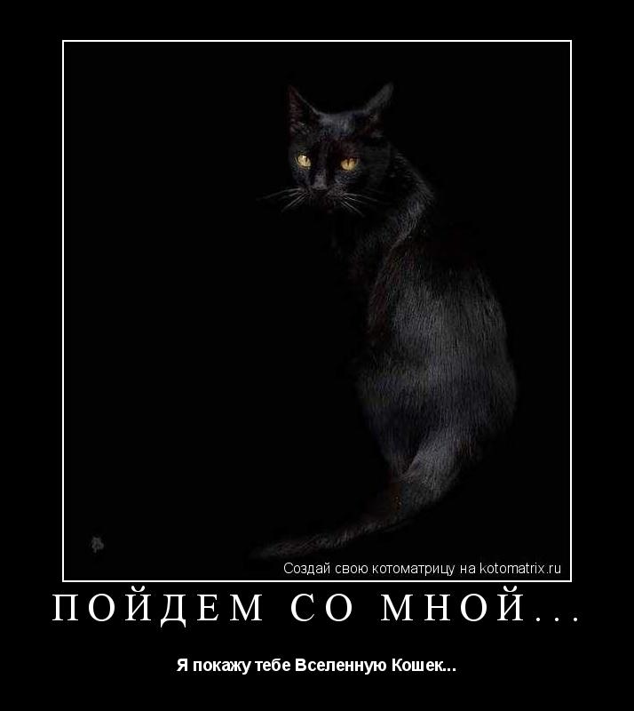 Пойдем со мной... Я покажу тебе Вселенную Кошек...... Котоматрица: Пойдем со мной... Я покажу тебе Вселенную Кошек...