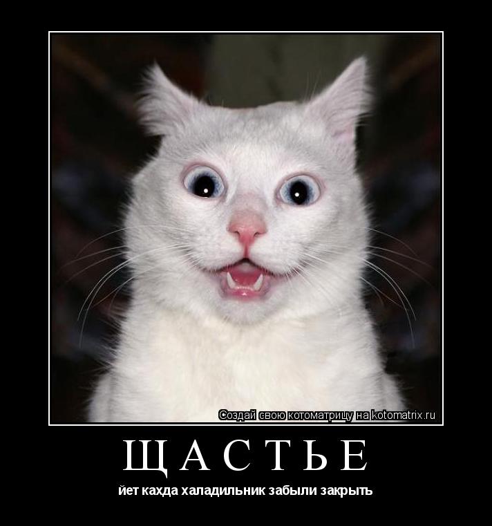 щастье йет кахда халадильник забыли закрыть... Котоматрица: щастье йет кахда халадильник забыли закрыть