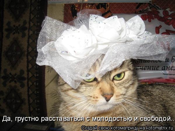 Да, грустно расставаться с молодостью и свободой... Да, грустно расставаться с молодостью и свободой.... Котоматрица: Да, грустно расставаться с молодостью и свободой... Да, грустно расставаться с молодостью и свободой...