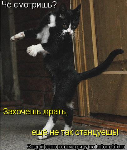 Захочешь жрать, ещё не так станцуешь! Чё смотришь?... Котоматрица: Захочешь жрать, ещё не так станцуешь! Чё смотришь?