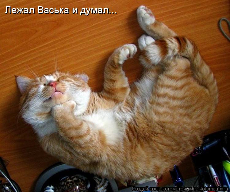 Лежал Васька и думал...... Котоматрица: Лежал Васька и думал...