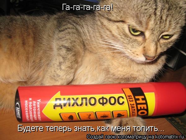 Га-га-га-га-га! Будете теперь знать,как меня топить...... Котоматрица: Га-га-га-га-га! Будете теперь знать,как меня топить...