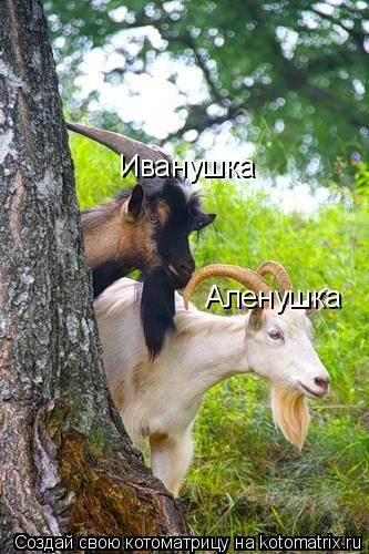 Иванушка Аленушка... Котоматрица: Иванушка Аленушка