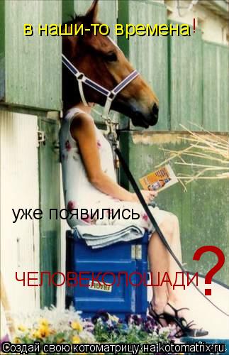 Котоматрица: в наши-то времена уже появились ЧЕЛОВЕКОЛОШАДИ ! ?